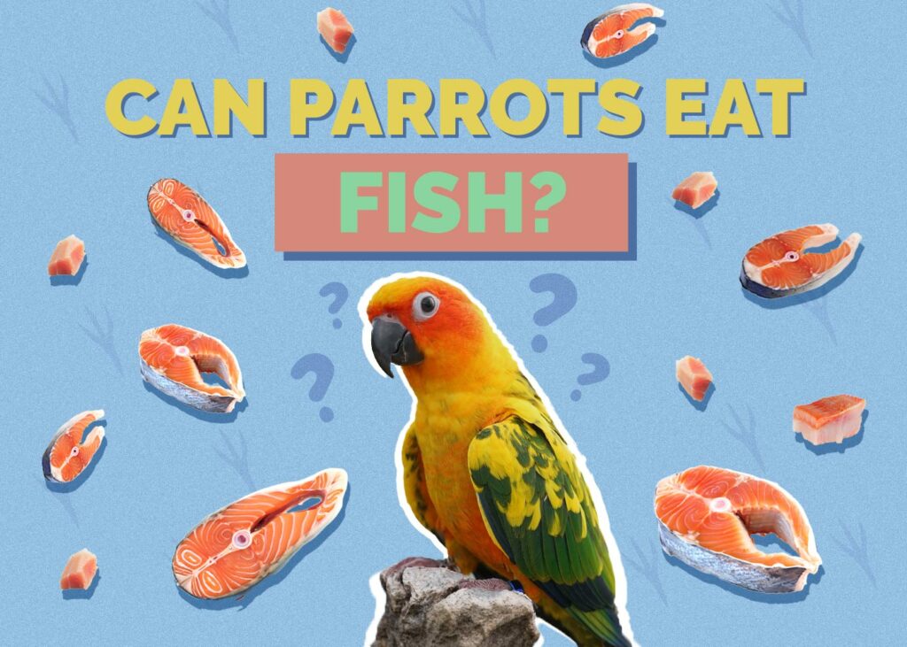 Can Parrots Eat Fish
