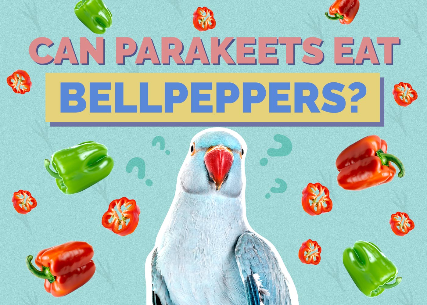Can Parakeets Eat Bell Peppers
