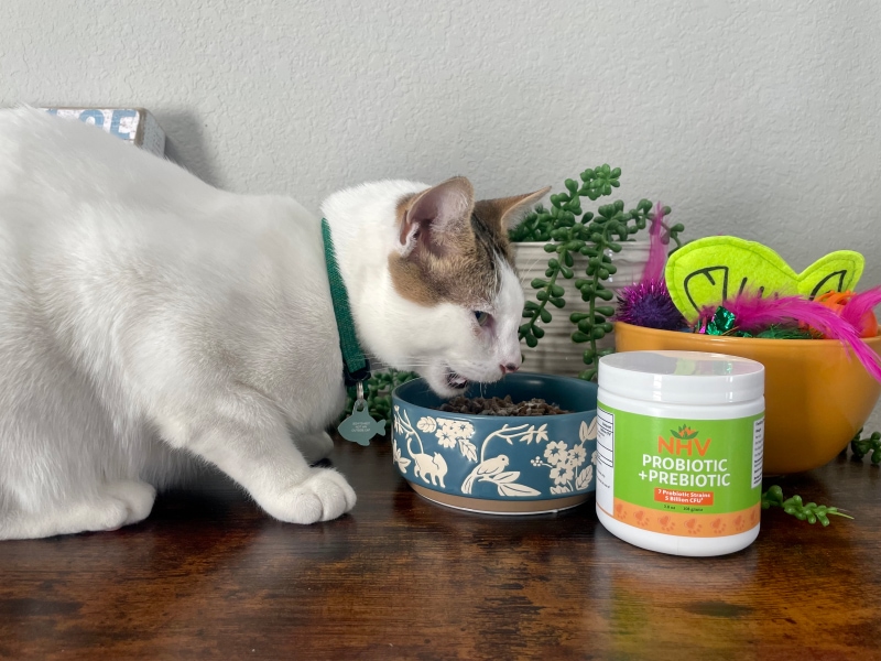 NHV Probiotic + Prebiotic - makoa eating cat food with supplement