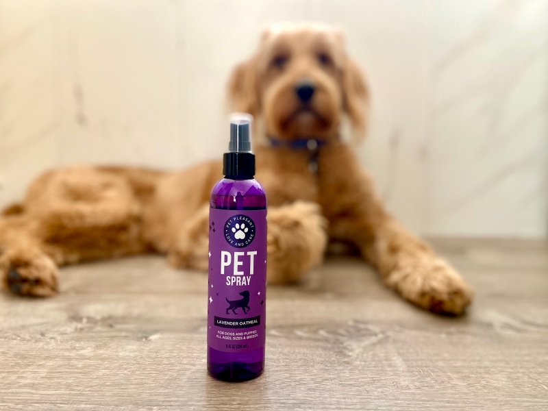 Pet Pleasant Pet Spray - micah in the background