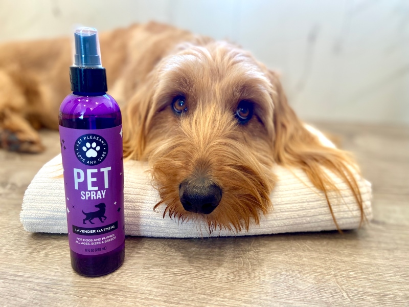 Pet Pleasant Pet Spray - micah with product and towel