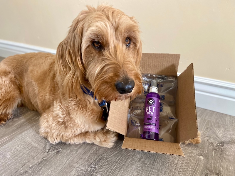 Pet Pleasant Pet Spray - unboxing with micah