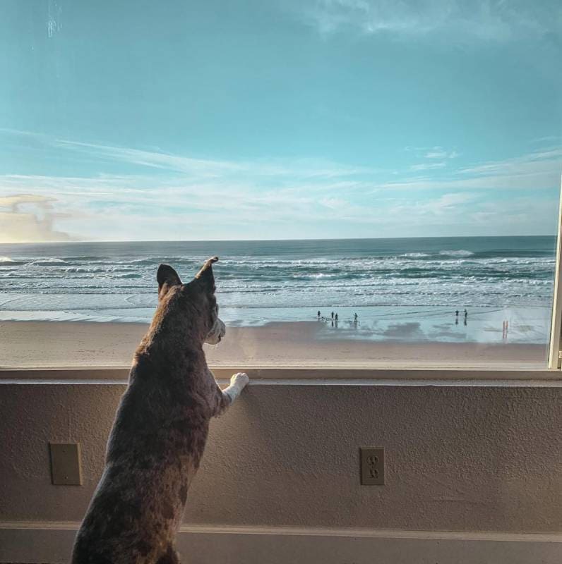 Sailor Jack’s Oceanfront Inn