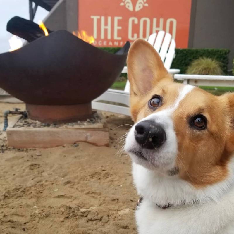 The Coho Oceanfront Lodge