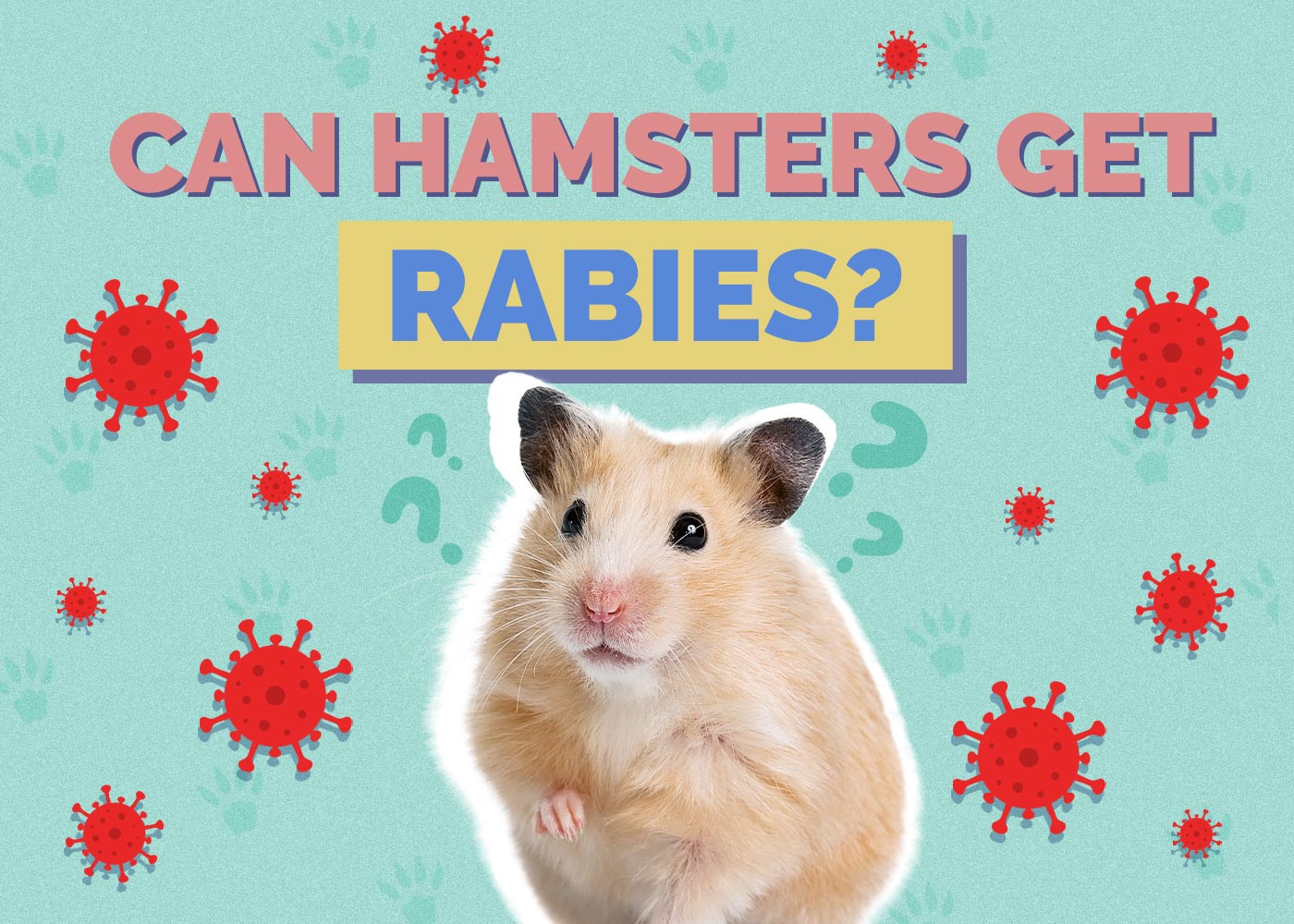 Can Hamsters Have Rabies