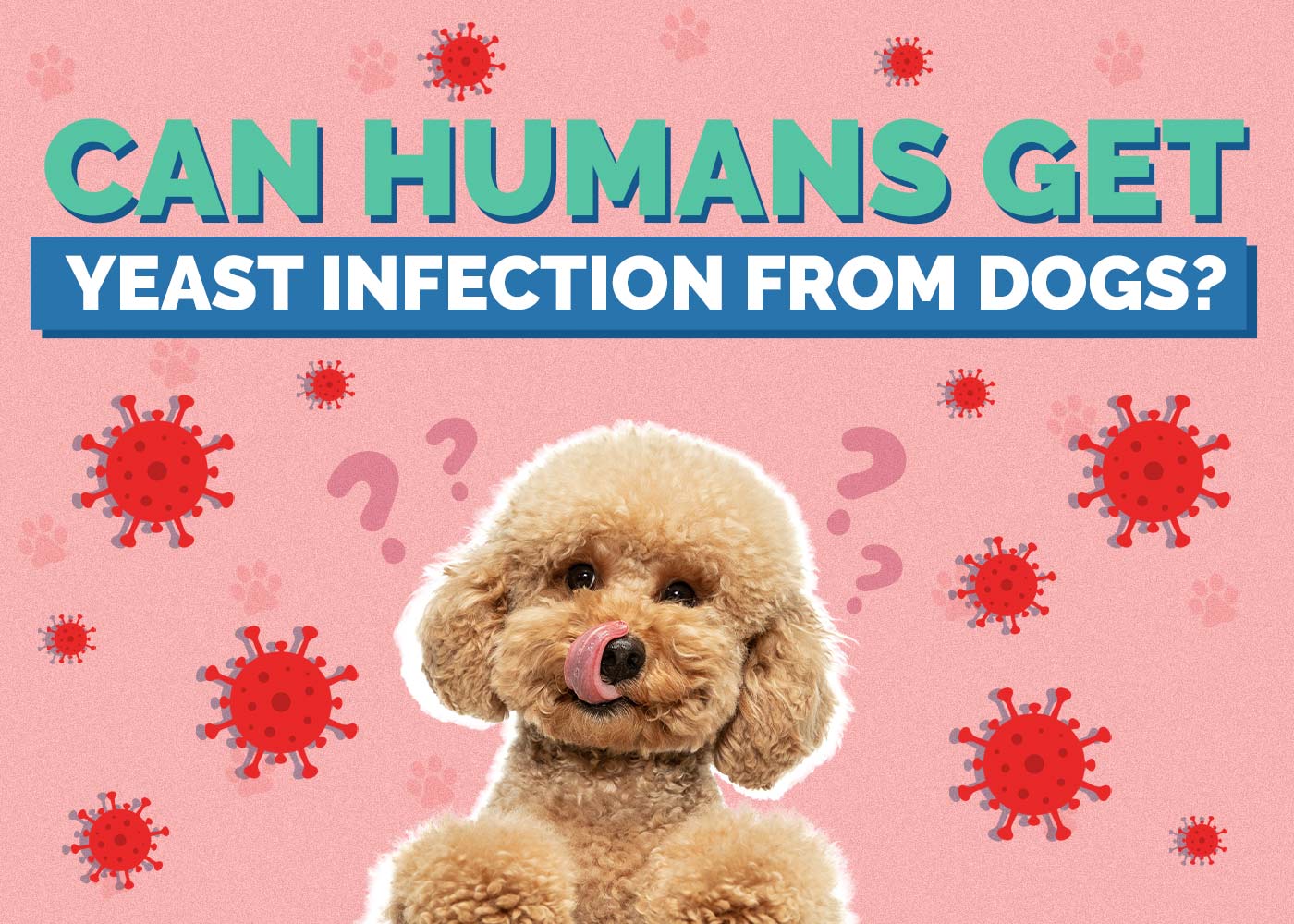 Can Humans Get Yeast Infection From Dogs