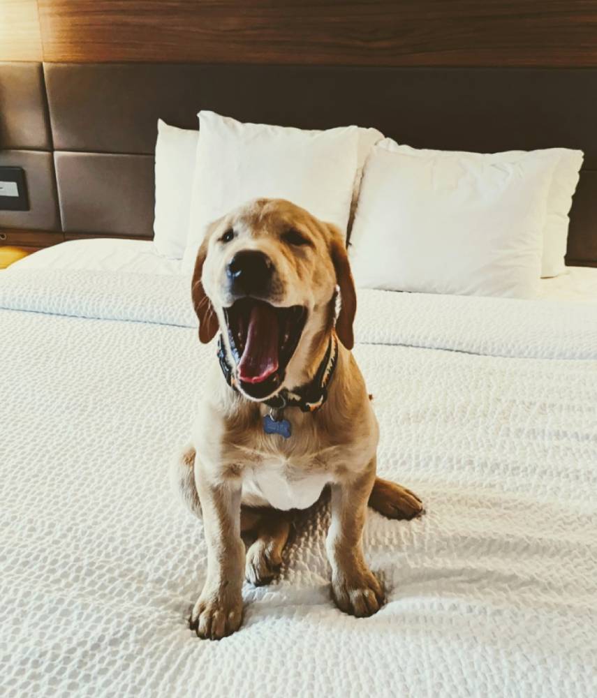 AC Hotel Portland Downtown