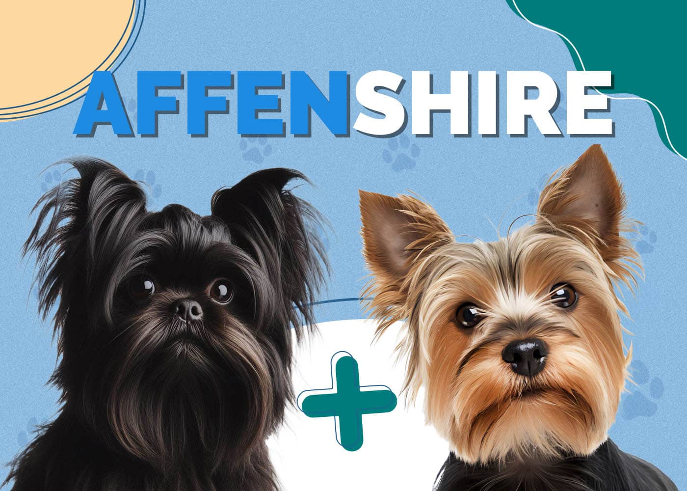 Affenshire