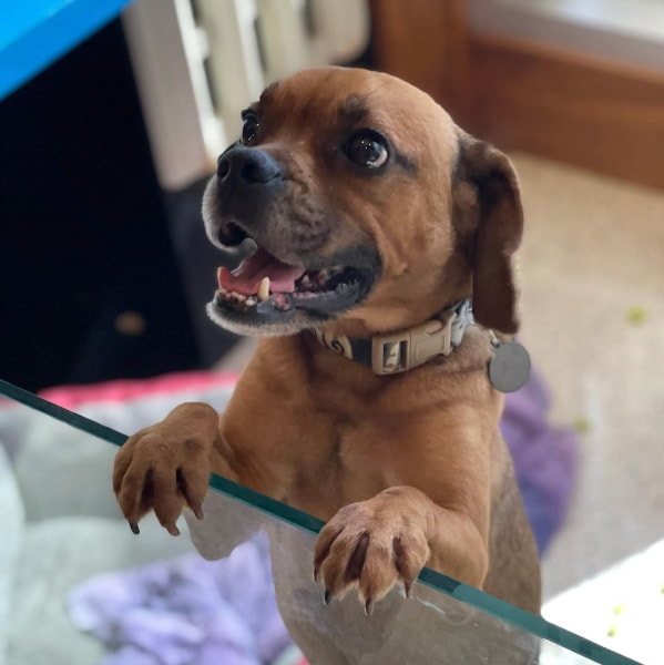 Aloft Orlando Downtown, Florida