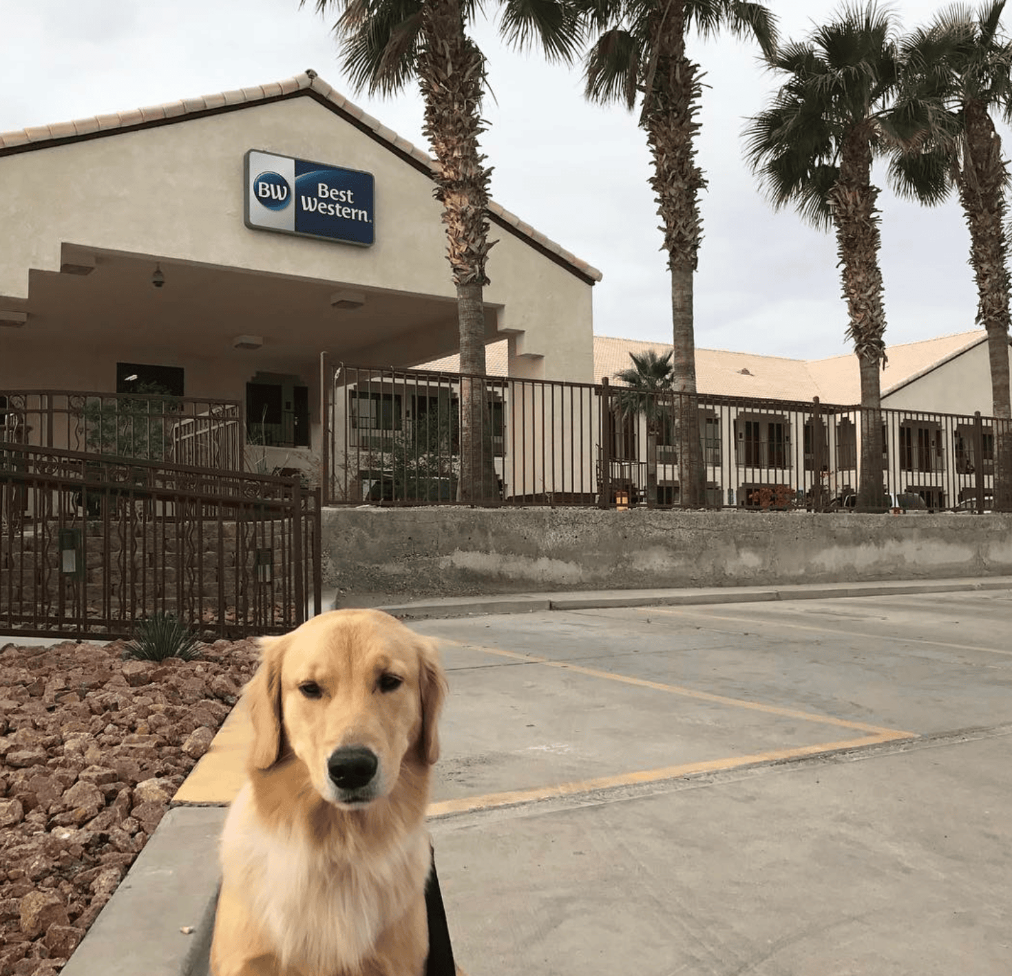 Best Western Colorado River Inn