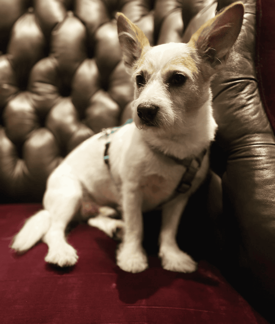 Bohemian Hotel Savannah Riverfront