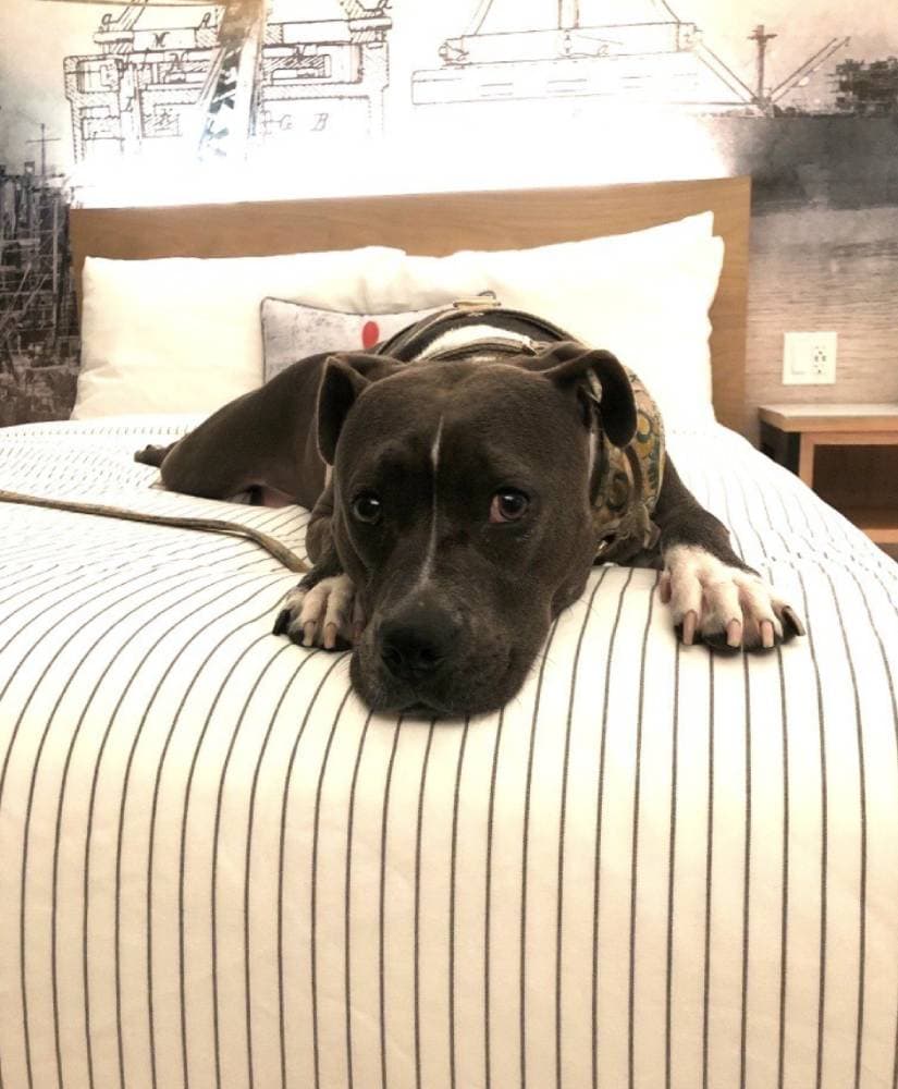 Cambria Hotel Portland Downtown