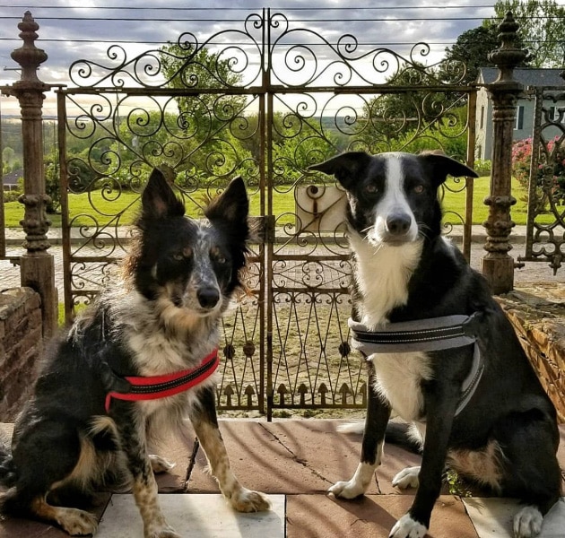 Corners Mansion Inn Bed & Breakfast