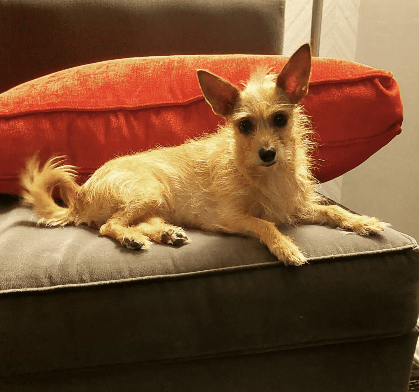 DoubleTree by Hilton Deadwood at Cadillac Jack's