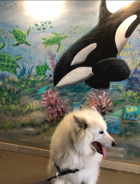 DoubleTree by Hilton Orlando SeaWorld, Florida