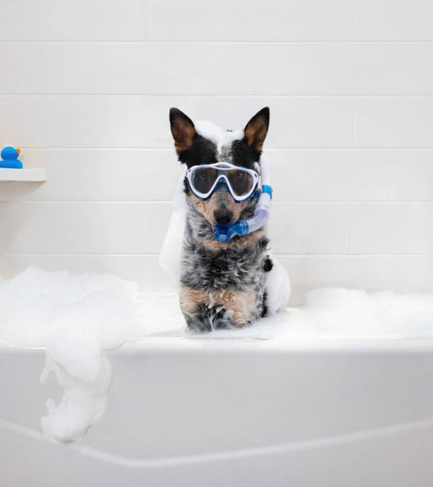 Hampton Inn & Suites Sacramento at CSUS