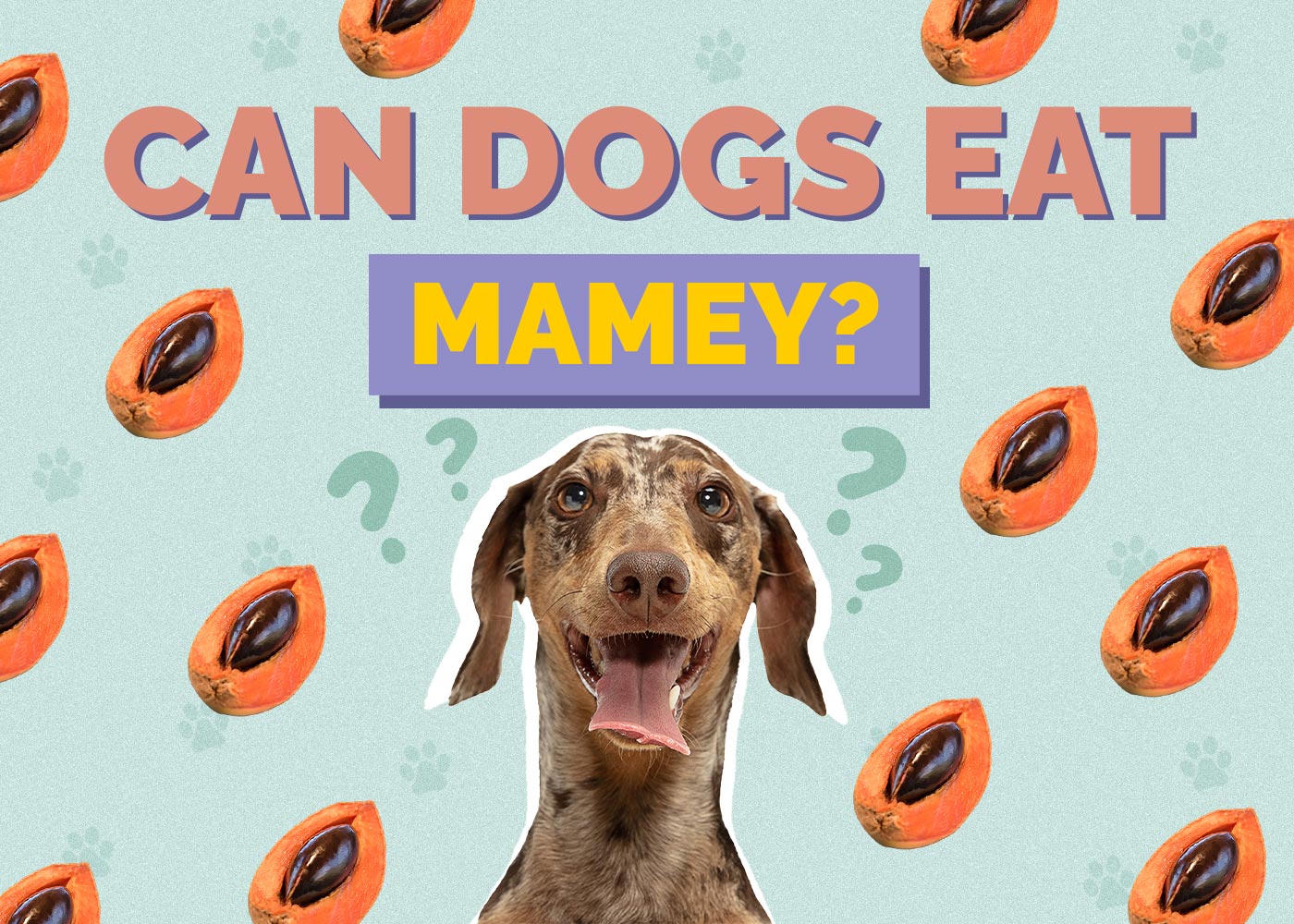 Can Dogs Eat Mamey