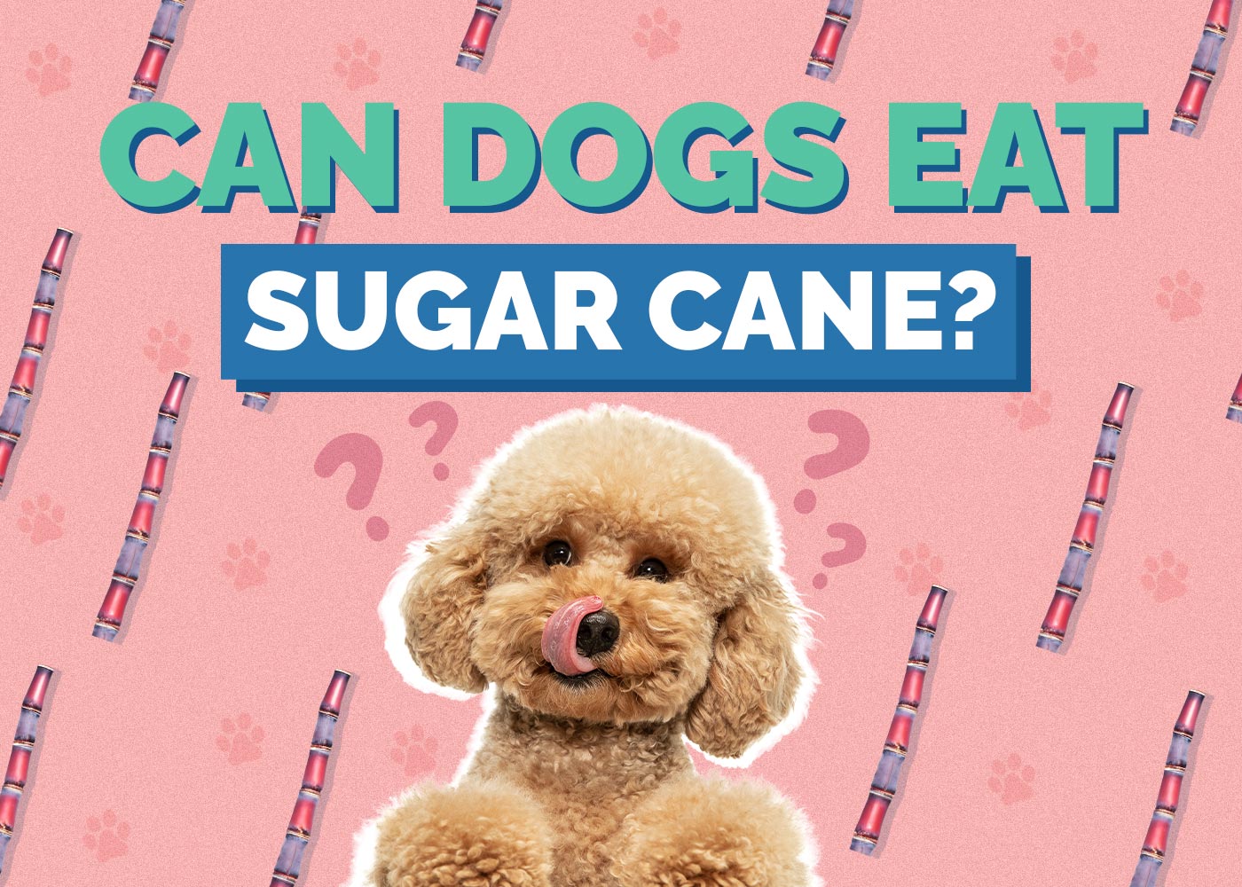 Can Dogs Eat Sugar Cane