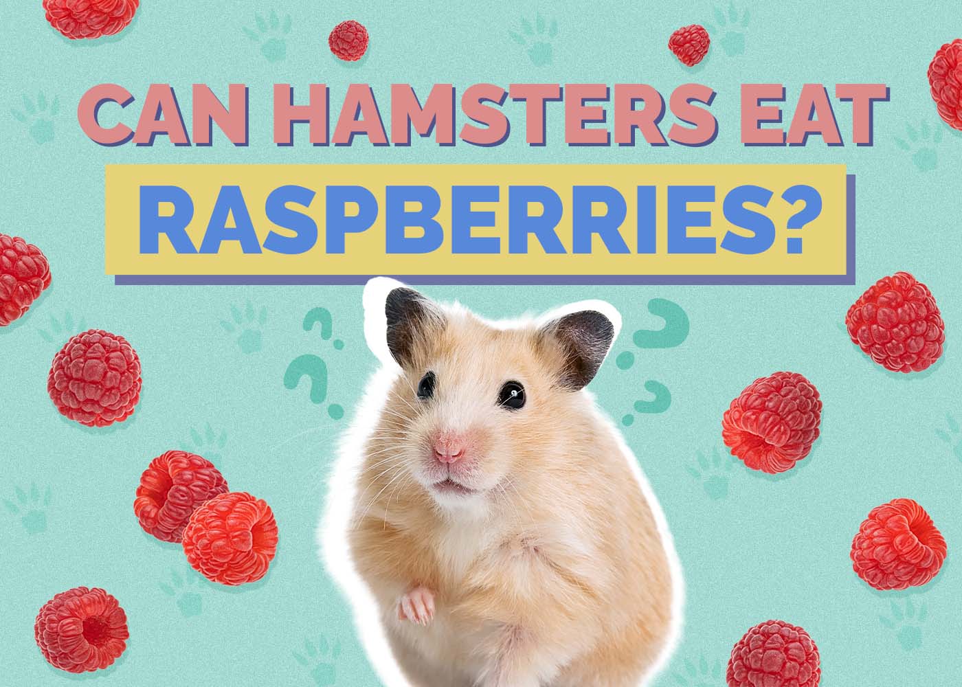 Hepper_Can Hamster Eat_Raspberries