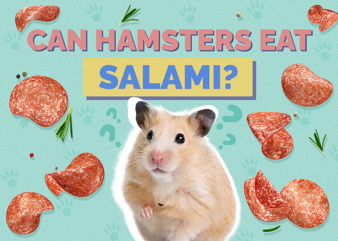 Hepper_Can Hamster Eat_Salami