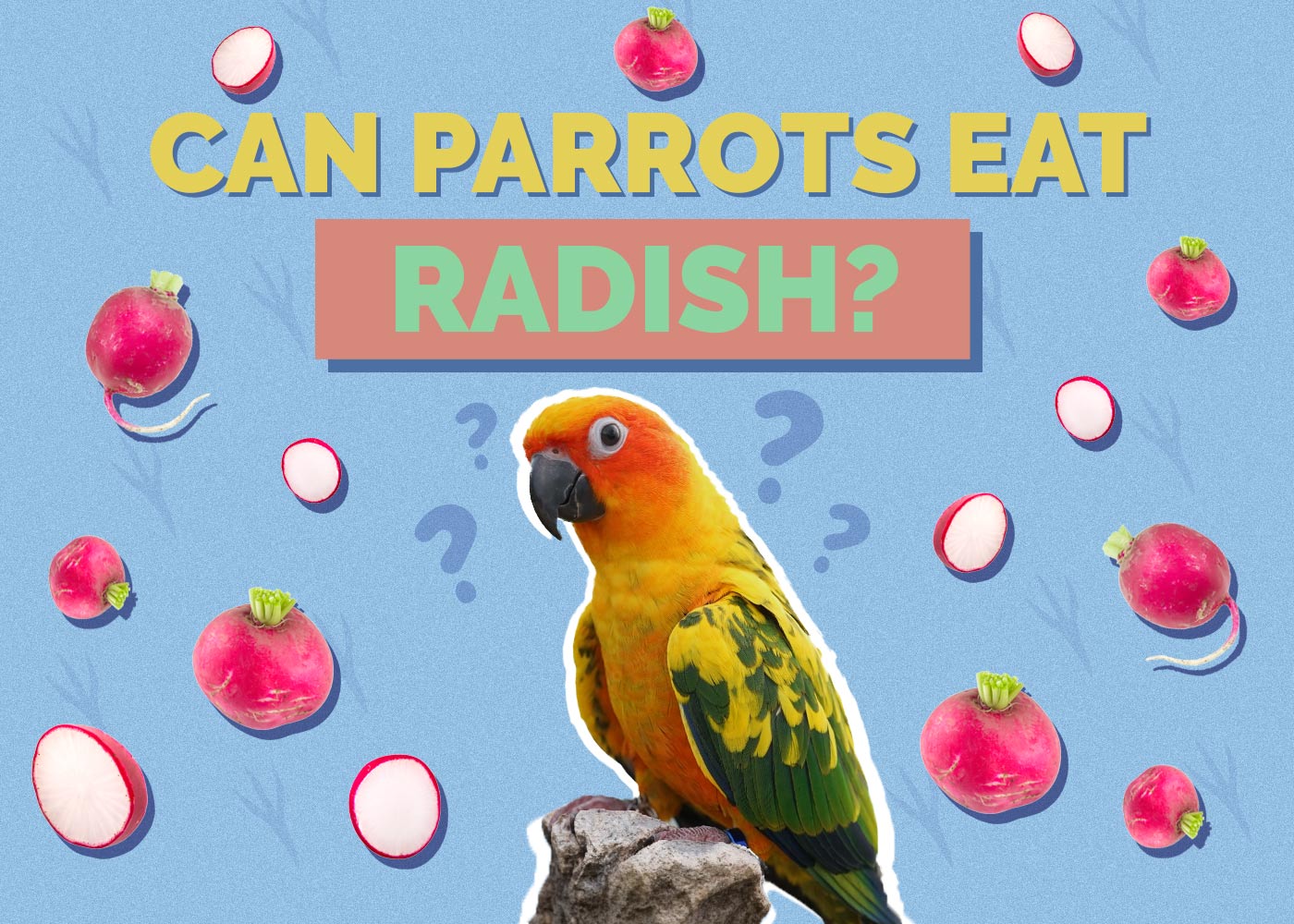 Can Parrots Eat Radishes