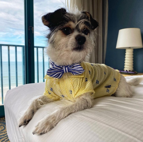 Hilton Daytona Beach Oceanfront Resort, Florida