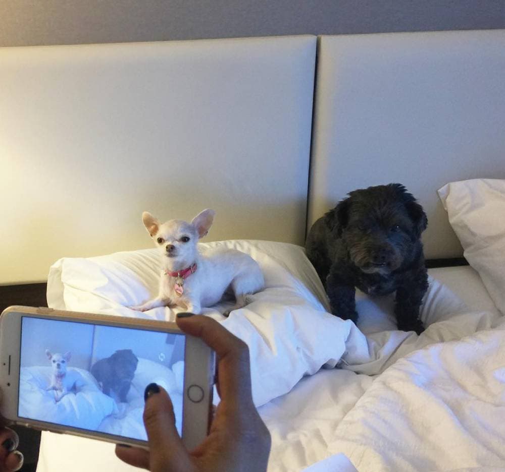 Hilton Garden Inn Sacramento South Natomas