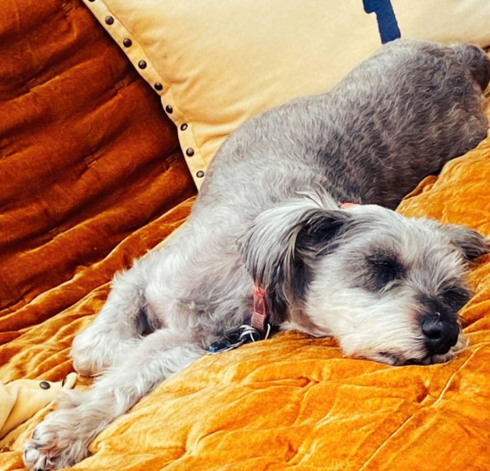 Hyatt Place Portland Old Port