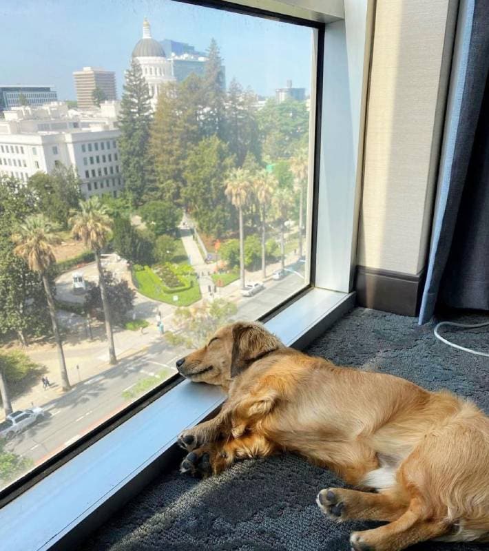 Hyatt Regency Sacramento