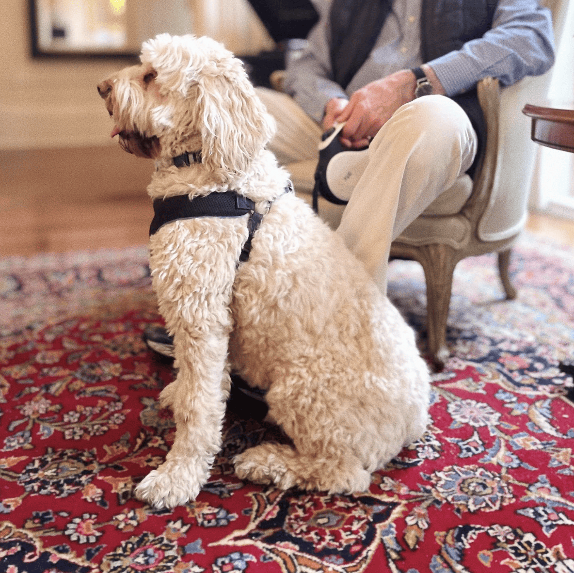 Justine Inn Savannah