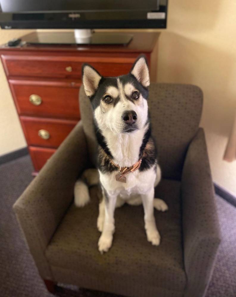 Larkspur Landing Sacramento