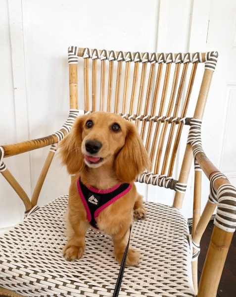 Margaritaville Beach House Key West, Florida