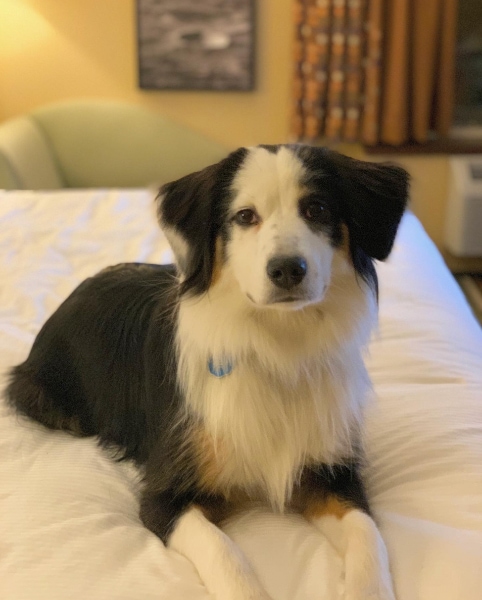 Moonrise Hotel St. Louis