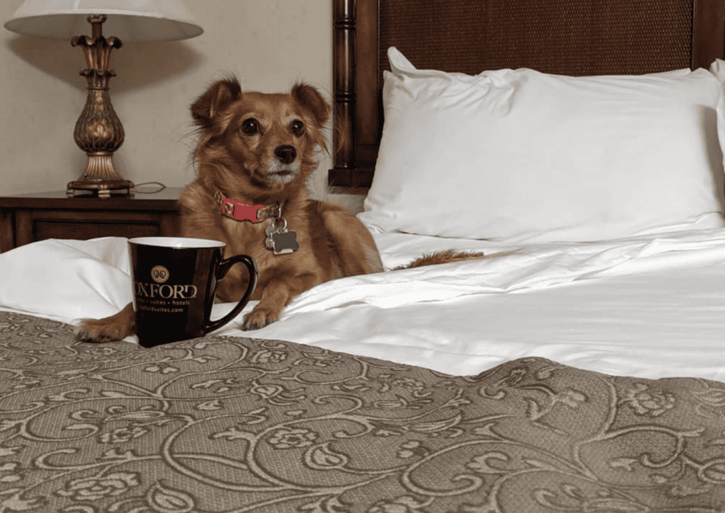 Oxford Suites Pismo Beach