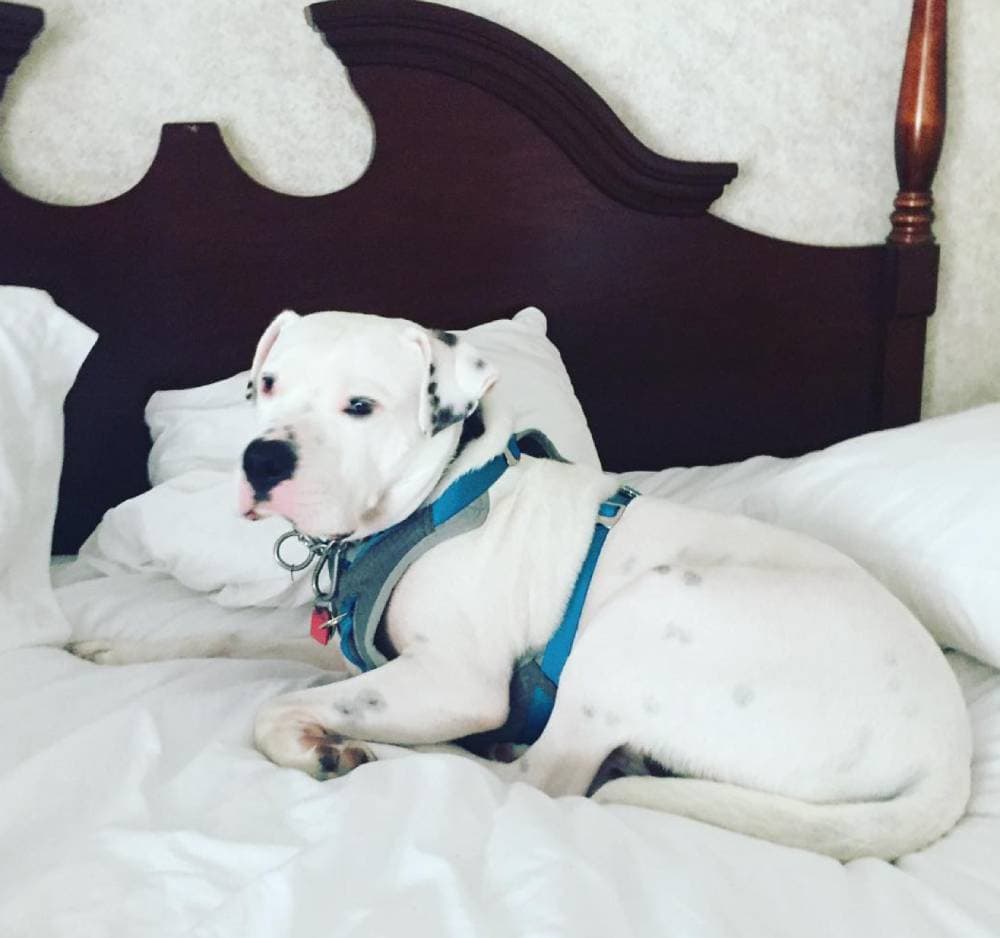 Ramada Plaza by Wyndham Portland