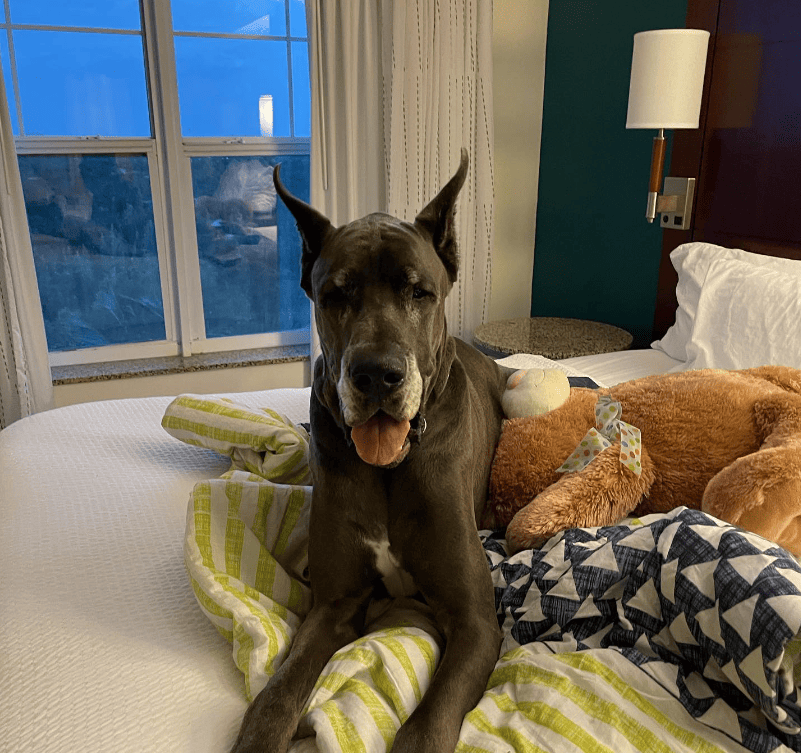 Residence Inn by Marriot Fort Myers