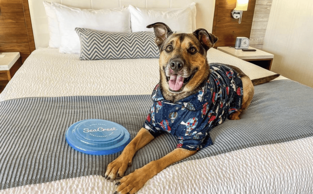 Seacrest Oceanfront Hotel