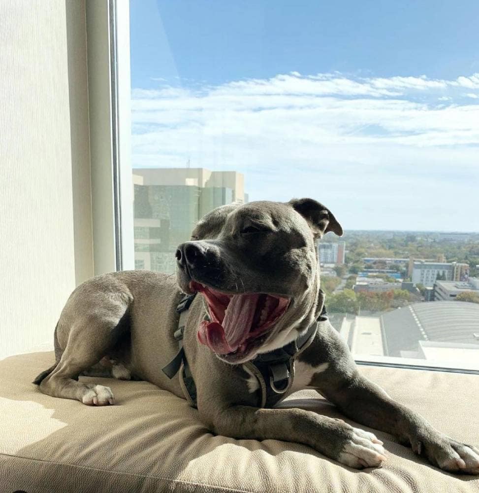 Sheraton Grand Sacramento Hotel