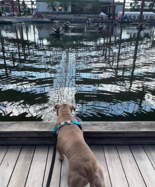 St. Louis Union Station Hotel