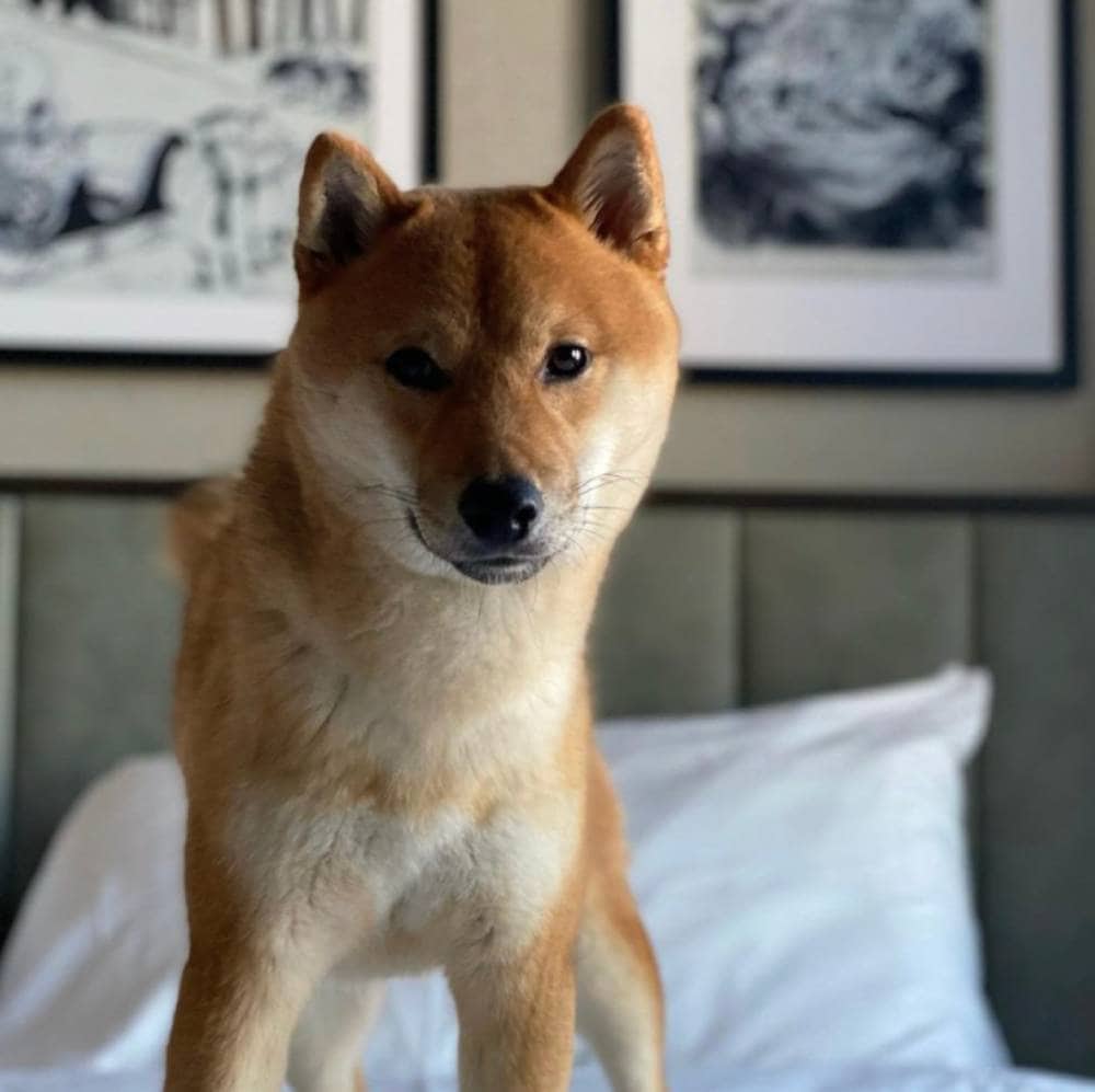 The Citizen Hotel, Autograph Collection