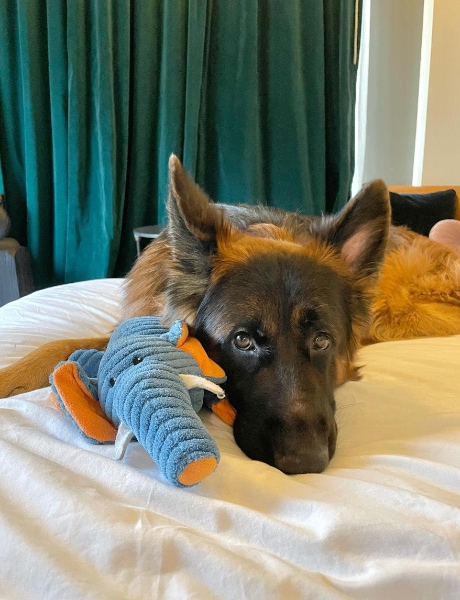 The Last Hotel St. Louis