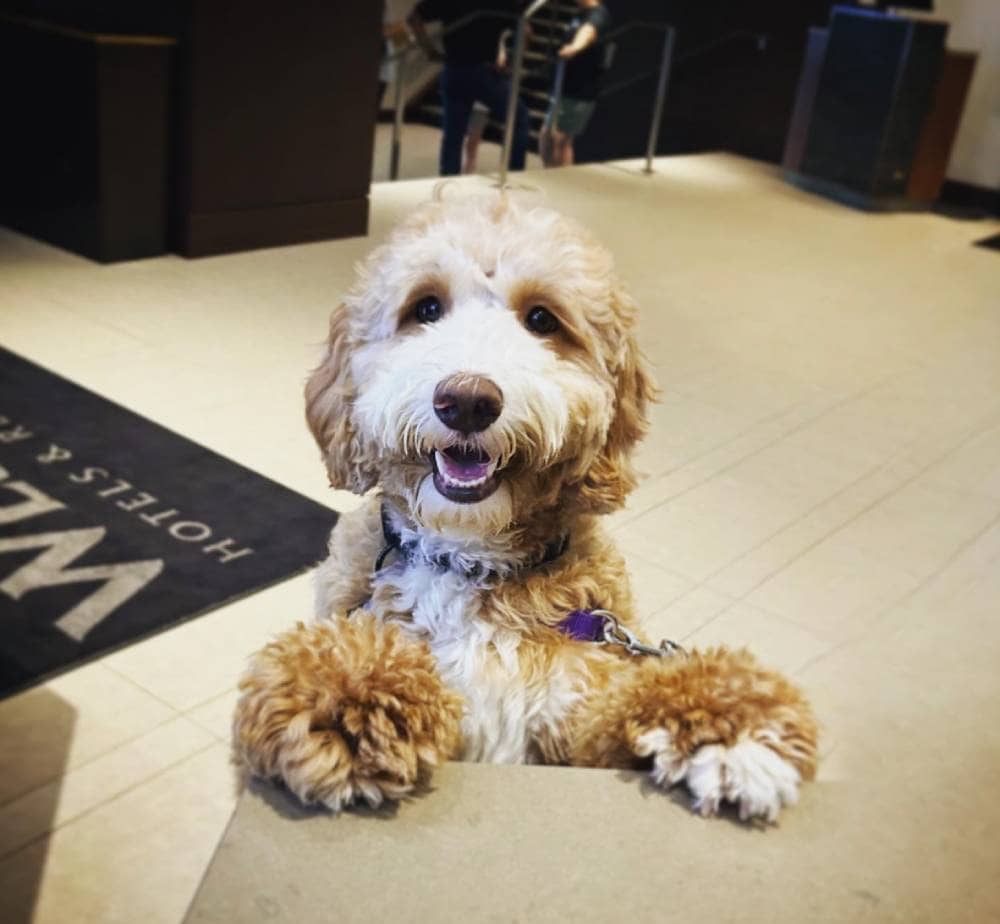 The Westin Portland Harborview