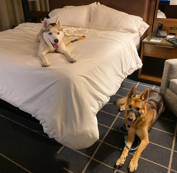 The Westin St. Louis