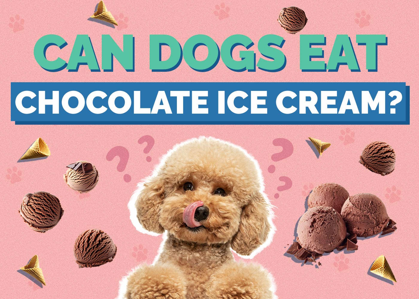 Can Dogs Eat Chocolate Ice Cream