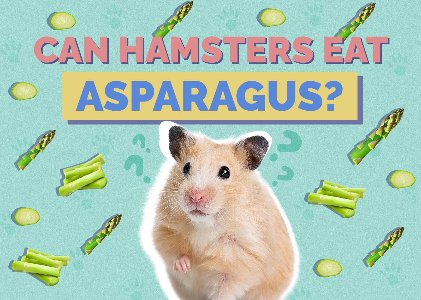 Can Hamsters Eat Asparagus