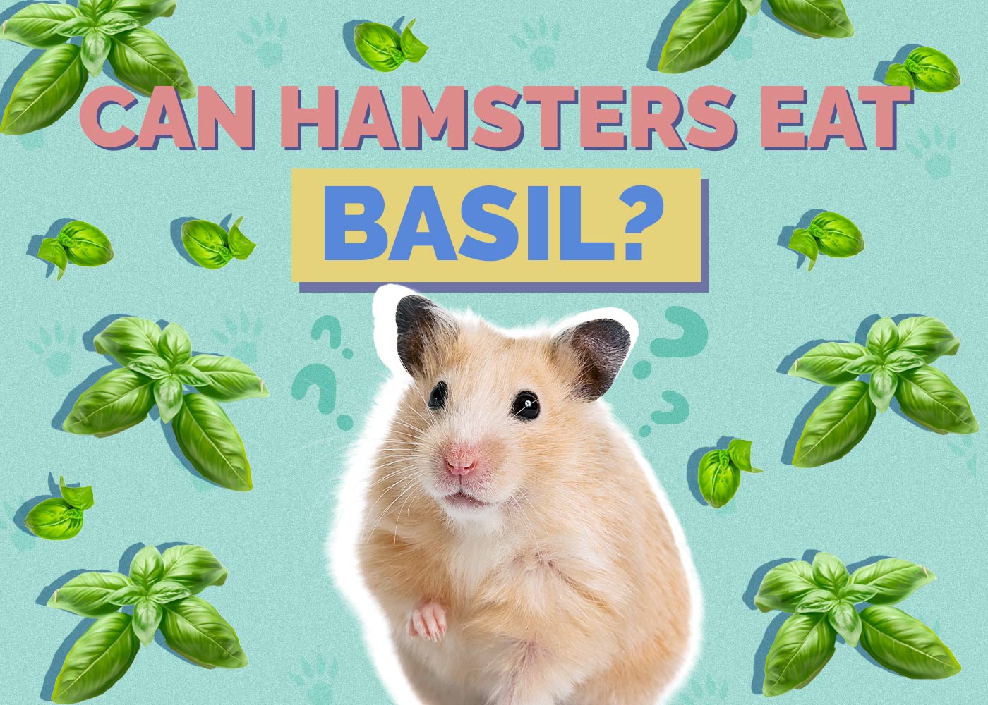 Can Hamsters Eat Basil