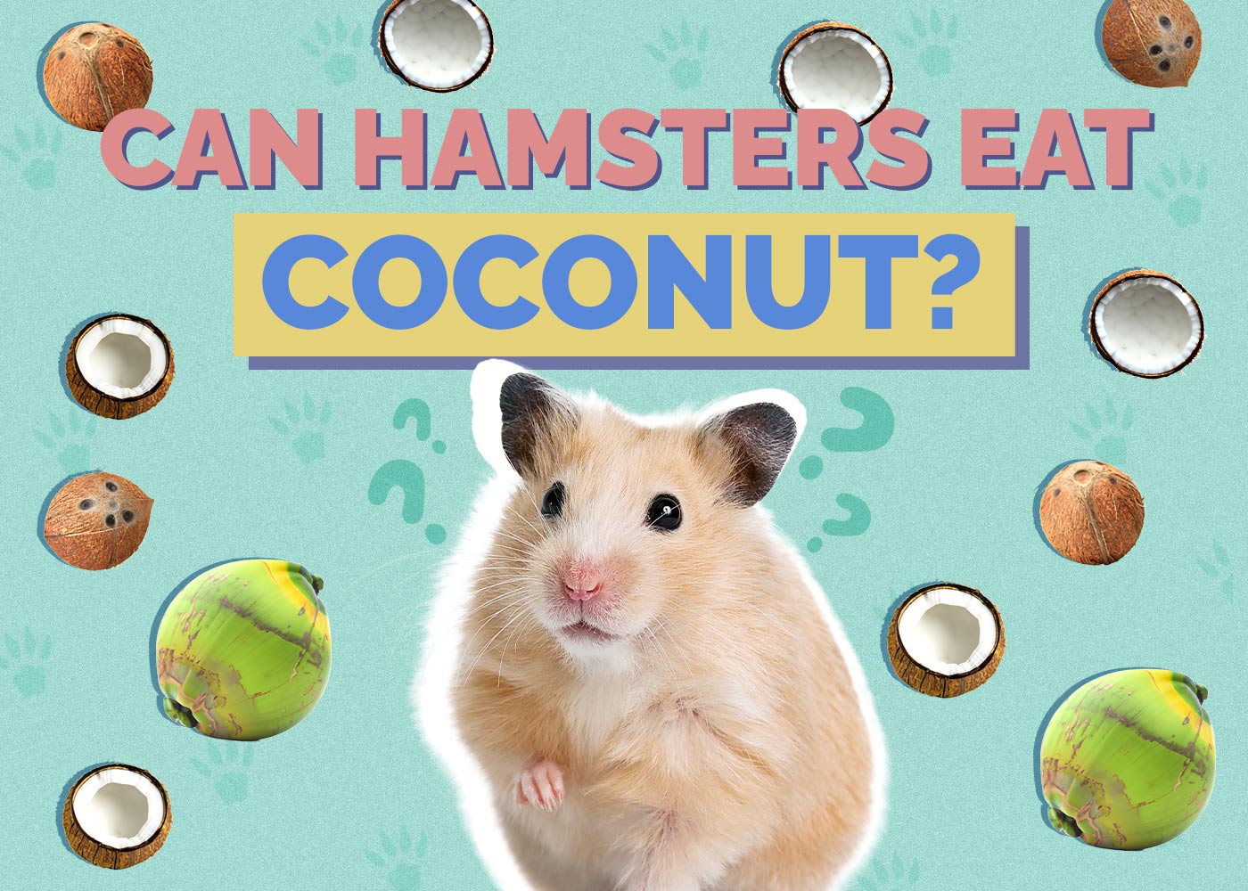 Can Hamsters Eat Coconut