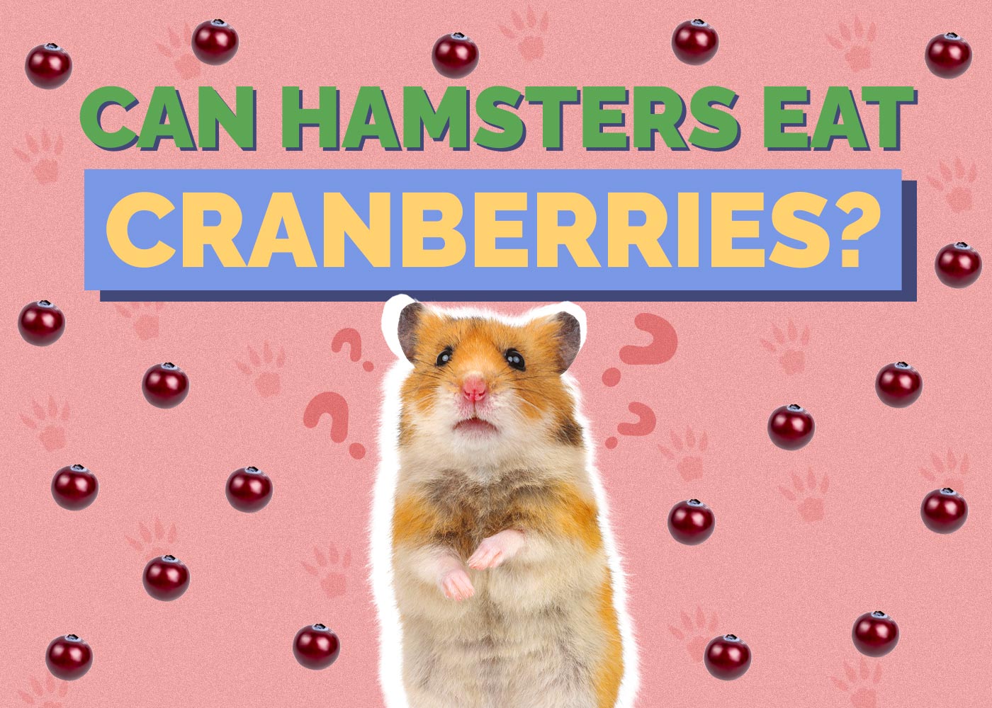 Can Hamsters Eat Cranberries