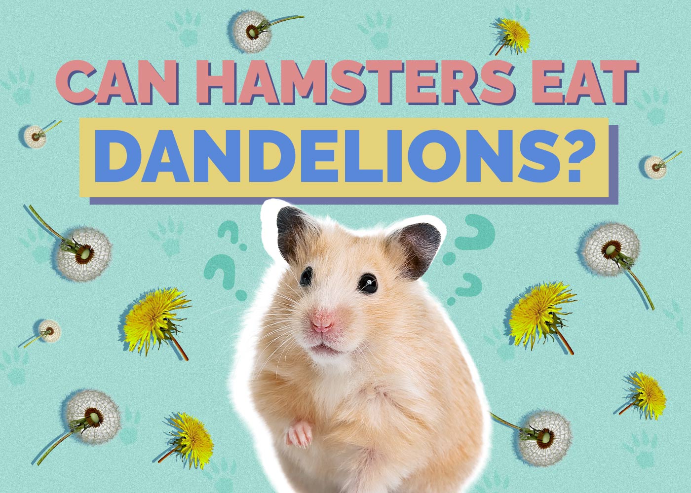 Can Hamsters Eat Dandelions