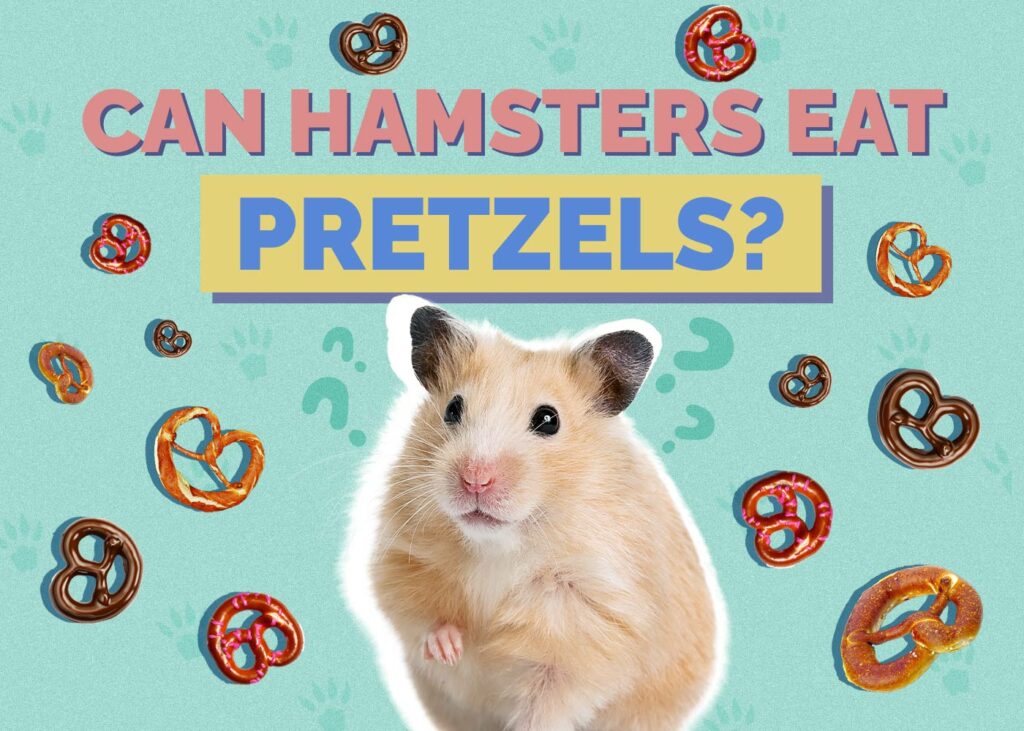 Can Hamsters Eat Pretzels